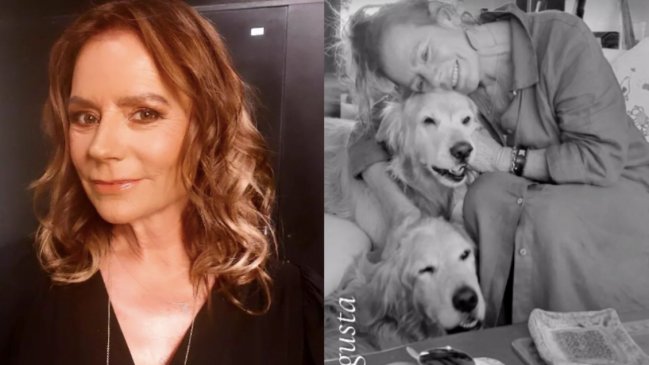 El tierno gesto de Kathy Salosny: Adoptó dos perritos callejeros