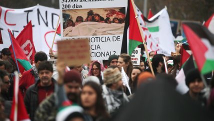  Marcha por Palestina se tomó las calles de Santiago 