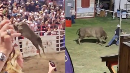   Toro saltó la cerca y embistió contra el público en rodeo de Oregon 