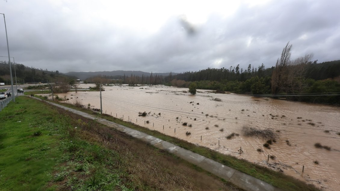 Un millar de agricultores afectados en el Biobío