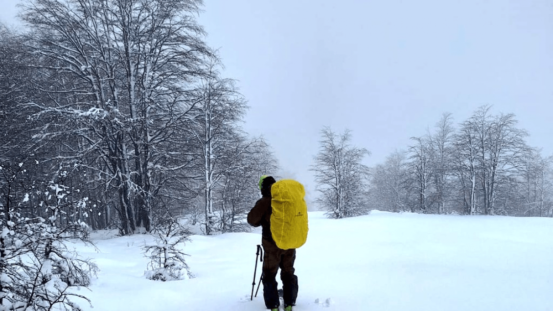 Buscan a hombre que se extravió en el Parque Nacional Villarrica