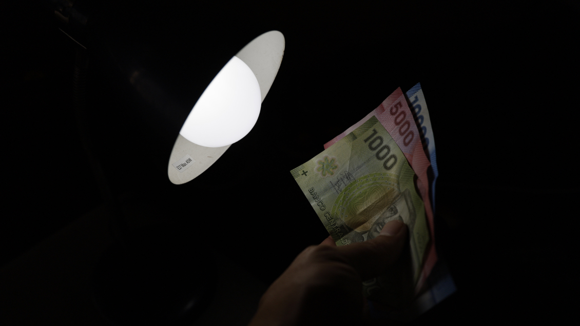 Académico: Bienvenido el subsidio, pero el tema de fondo es lo caro de la luz en Chile