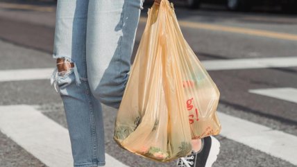  Piensa Circular: Los desafíos para evitar el uso de bolsas plásticas  