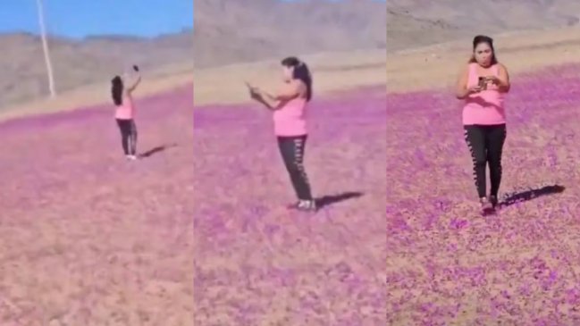  Mujer causa indignación al pisar flores en Desierto Florido  