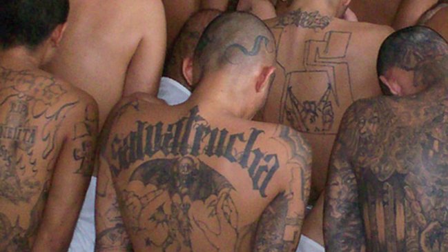   Condenan a 1.400 años de cárcel a pandillero de la Mara Salvatrucha en El Salvador 