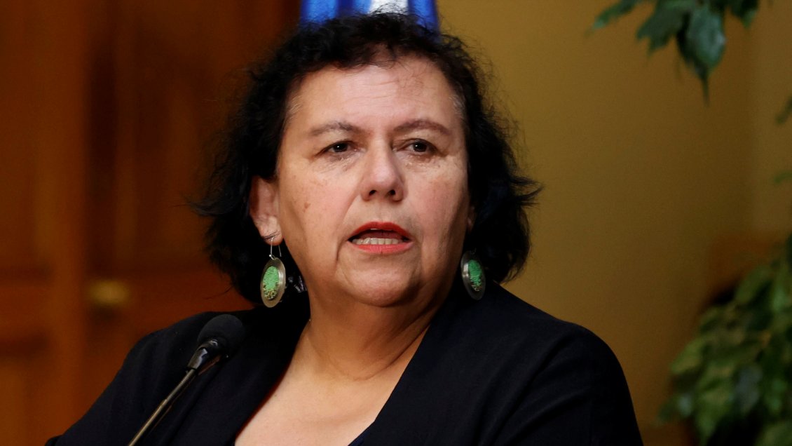 Diputada Pizarro reitera la tesis de un 