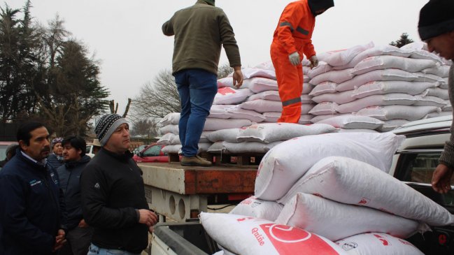   Gobierno inició entrega de ayuda a agricultores de La Araucanía afectados por las lluvias 