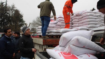   Gobierno inició entrega de ayuda a agricultores de La Araucanía afectados por las lluvias 