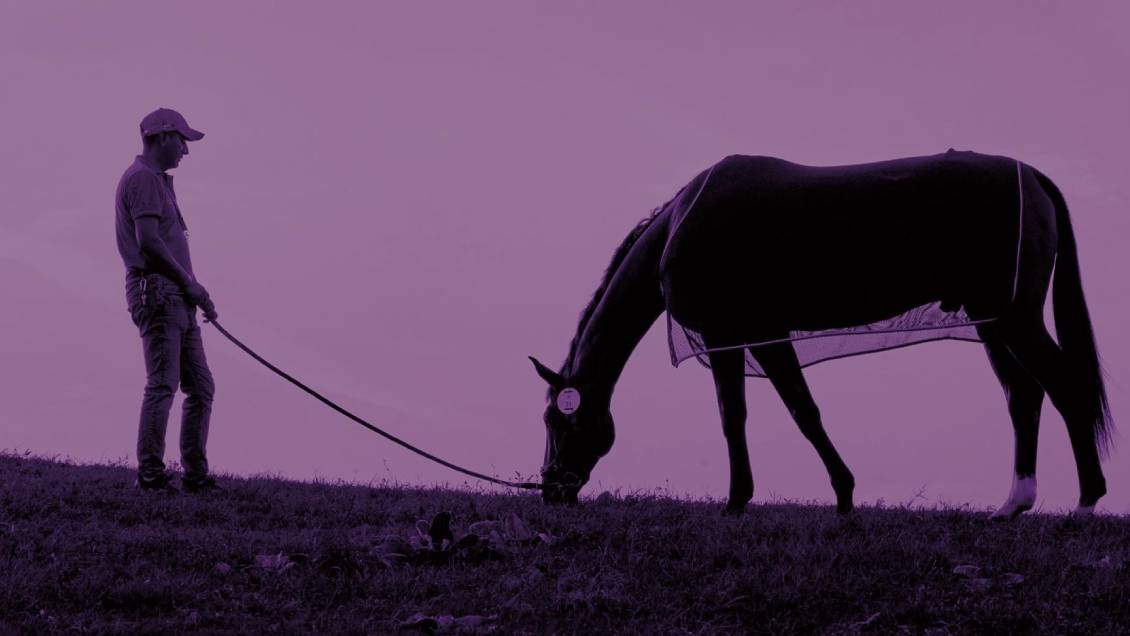 La Federación Ecuestre Internacional reforzará el bienestar equino en París 2024