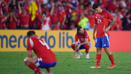   Fabián Estay y la Copa América de La Roja: Fue un fracaso muy grande 