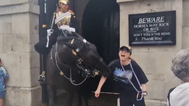   Pese a advertencia: Turista se acercó demasiado a caballo de la Guardia Real y recibió mordisco 