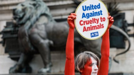   Con cuerpos pintados en el centro de París, PETA exigió protección de animales 