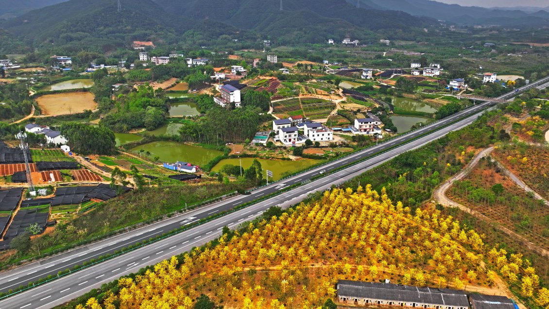 China registra mejora en calidad del aire y el agua en primer semestre del año