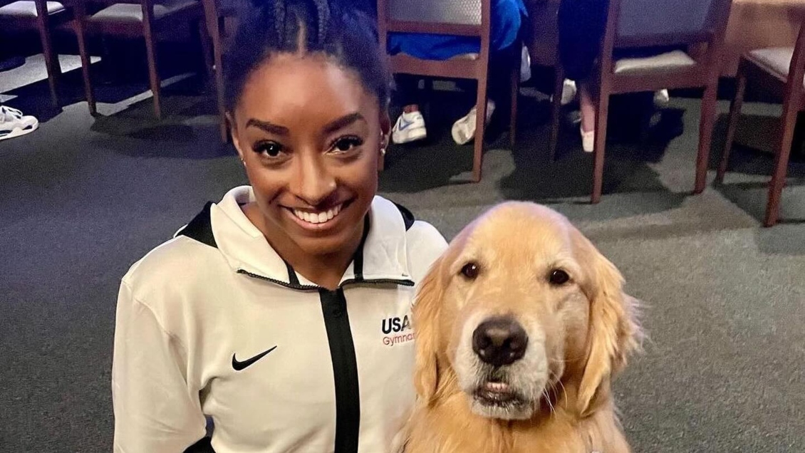 Beacon, el golden retriever que es parte del equipo estadounidense de gimnasia