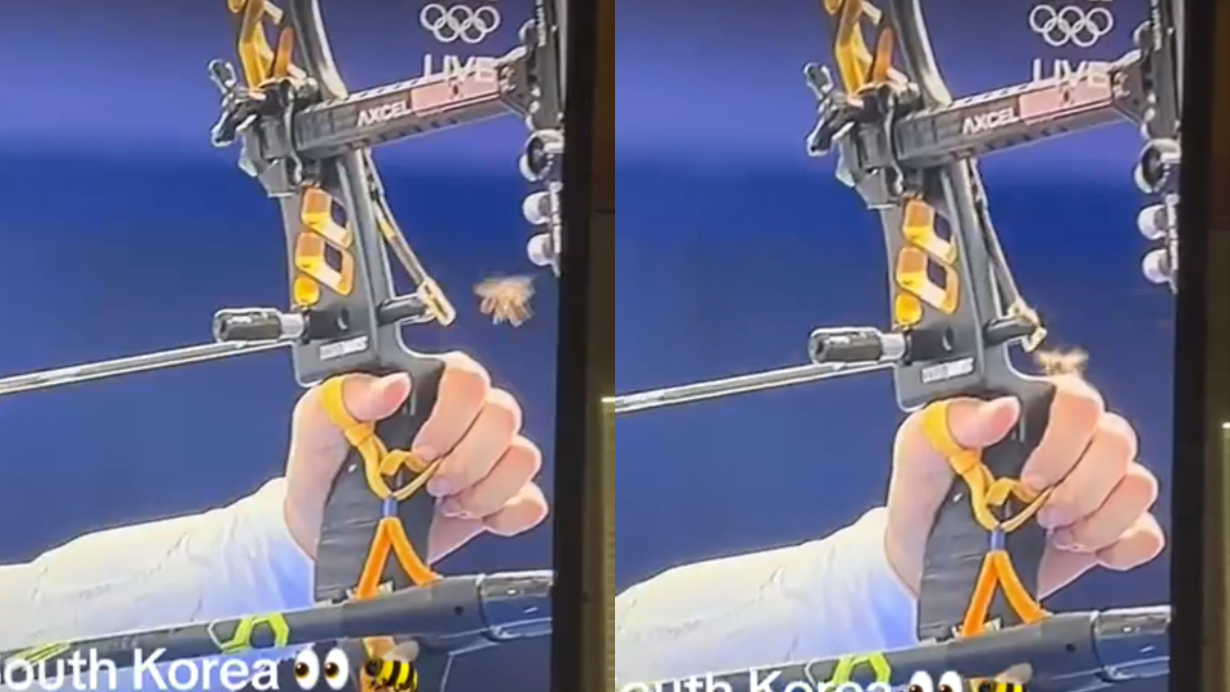 [VIDEO] La sutil intervención de una abeja en la final del tiro con arco olímpico