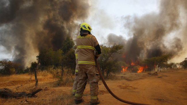   Incendios forestales aumentaron 120% en el extremo norte del país el último año 