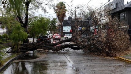   Climatólogo: Los fenómenos extremos serán más recurrentes por el cambio climático 