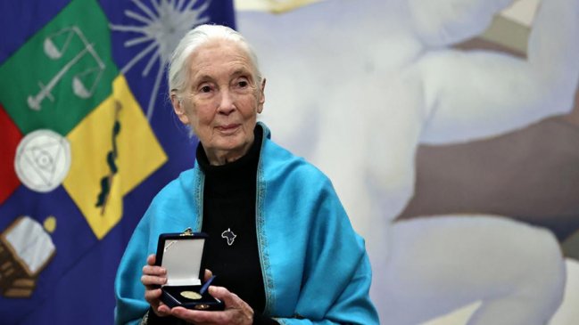  Destacada etóloga Jane Goodall fue distinguida por la Universidad de Chile  