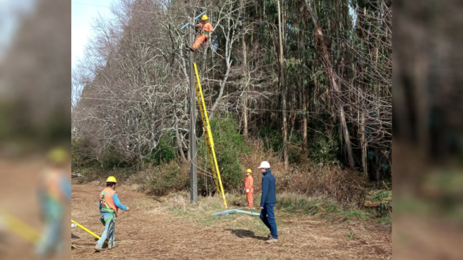 Cortes de luz en La Araucanía: Gobierno pide 