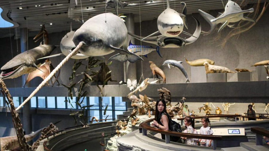 Shanghai recibió más de 3 millones de turistas entrantes en primer semestre de 2024