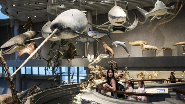 Shanghai recibió más de 3 millones de turistas entrantes en primer semestre de 2024