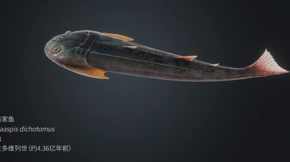 China halla fósil de pez que podría ser clave en evolución de las extremidades terrestres