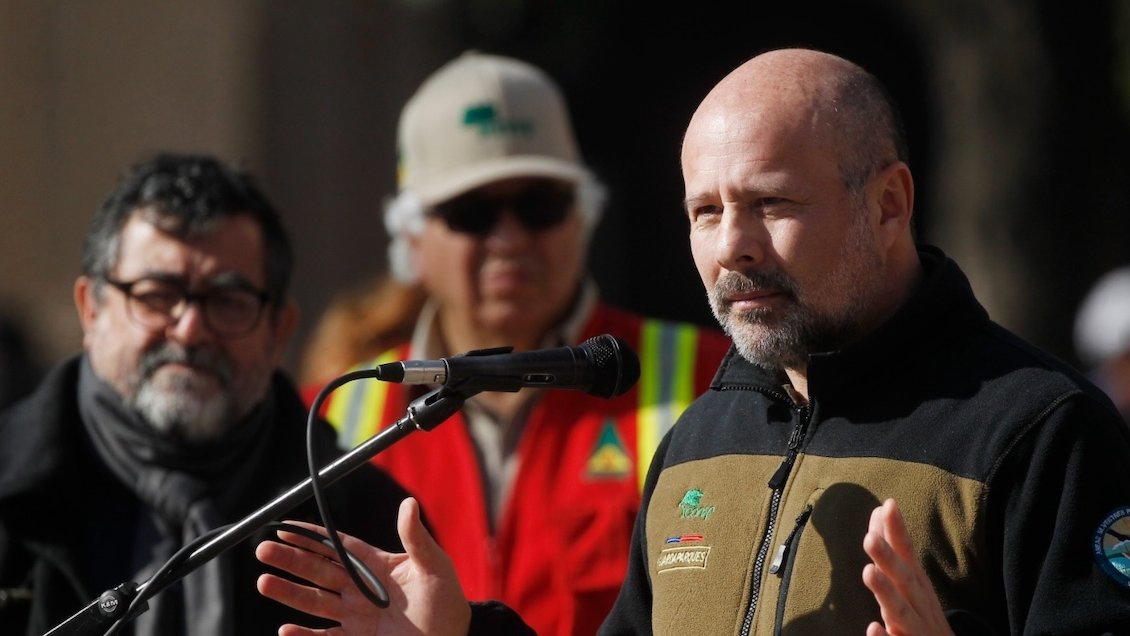 Christian Little renunció a la dirección de Conaf tras críticas por gestión en megaincendios