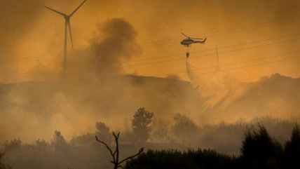 Ola de incendios quema 94 mil hectáreas en cinco días en Portugal