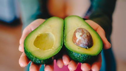   Piensa Circular: ¿Qué hacer con los cuescos de la palta? 