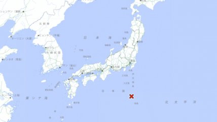 Tsunami de medio metro de altura alcanzó islas al sur de Tokio tras sismo 5,9