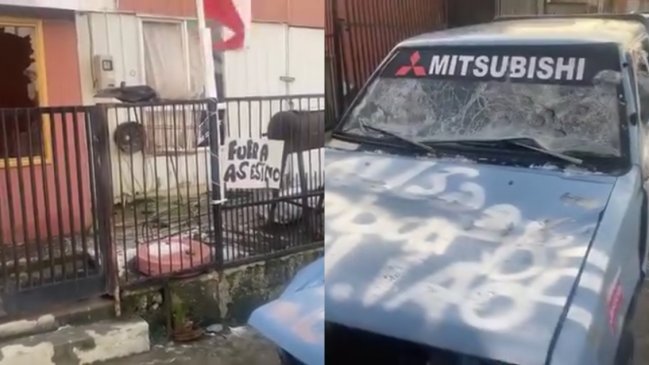 Hombre violó y mató a perrito en Punta Arenas: Vecinos lo apuñalaron