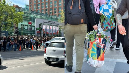   Con bolsas llenas y desmayos: Día del Tulipán culminó en caos 