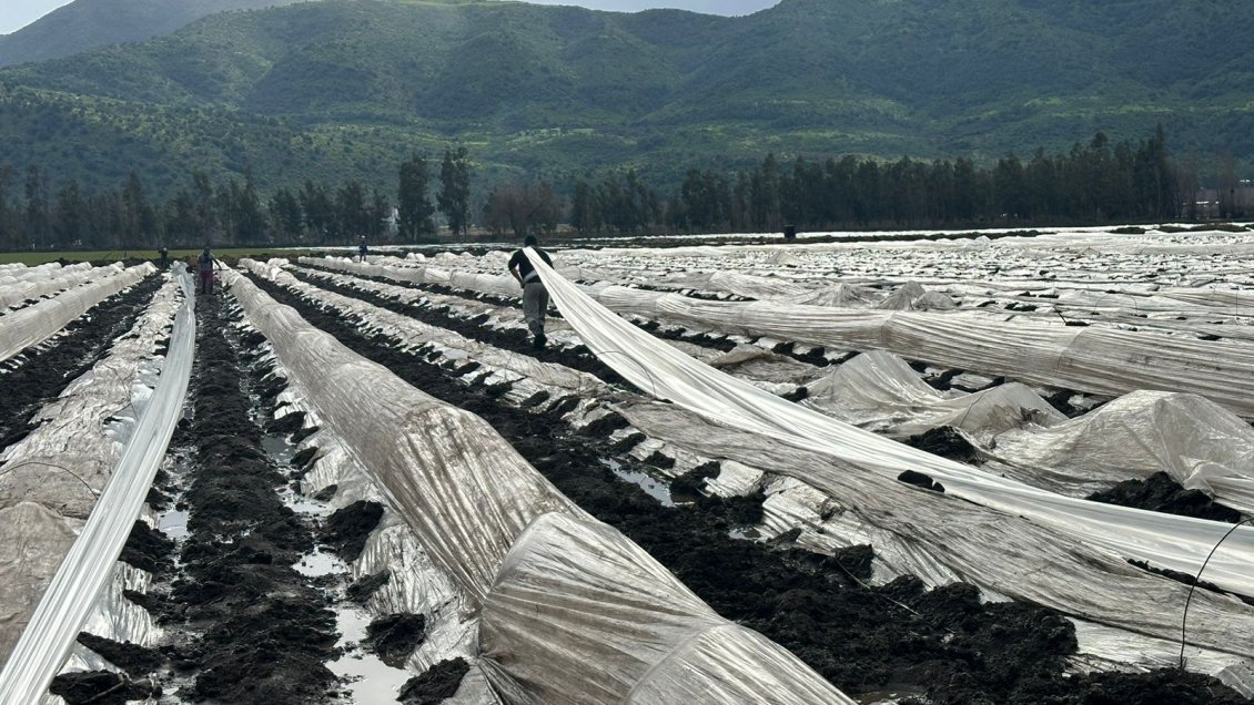 Gobierno decretó emergencia agrícola para provincia de Palena y comuna de Cochamó
