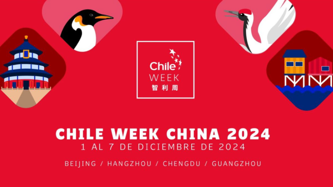 Chile Week China 2024: ProChile abrió convocatoria para emprendedores