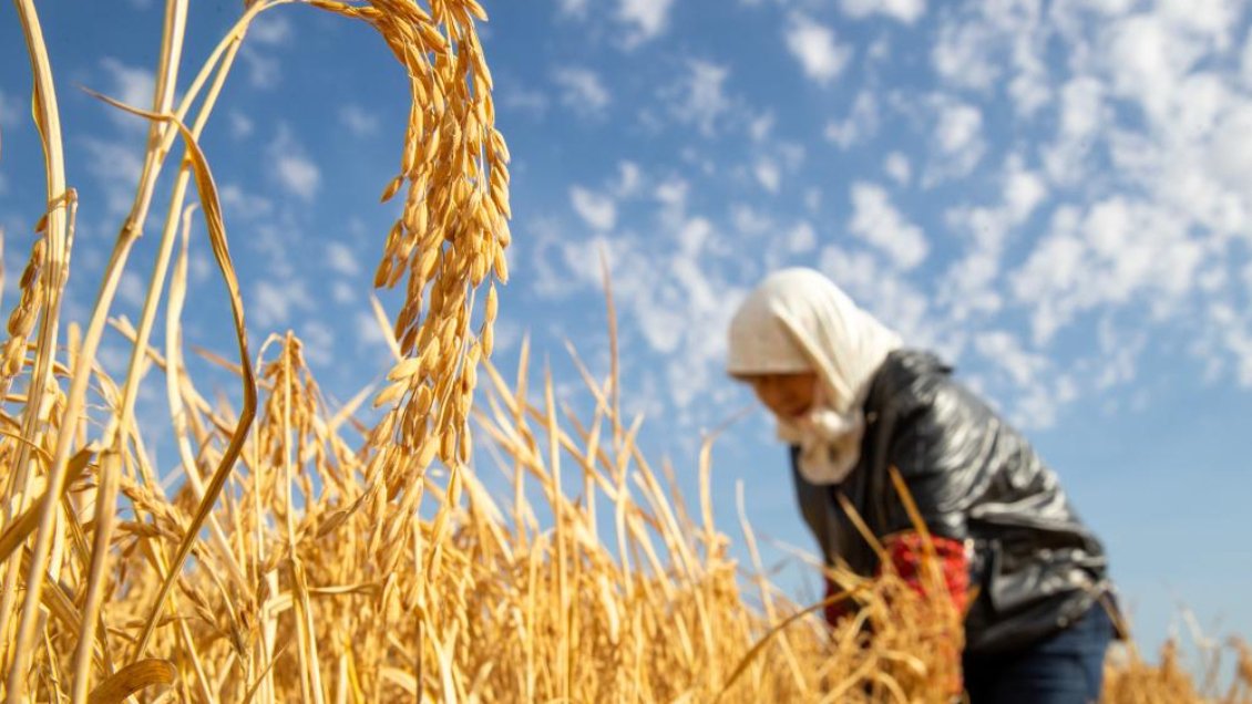 China intensifica suministro alimenticio de emergencia por crecientes fenómenos meteorológicos