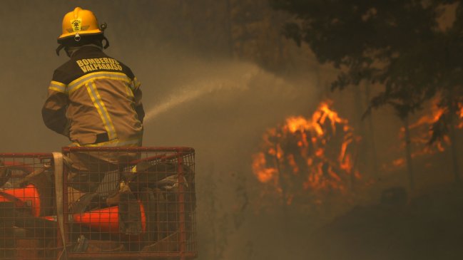 Orden de evacuación en varios sectores de Valparaíso debido a incendio forestal