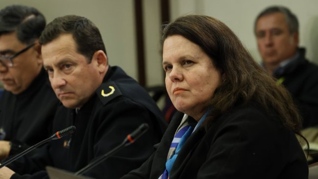 Ministra Fernández: 