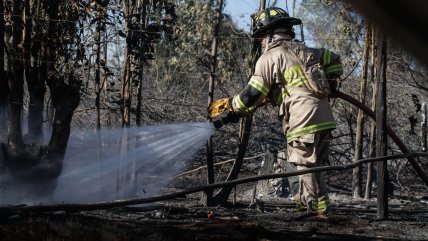 Alerta roja para Viña del Mar y Quilpué por incendios forestales