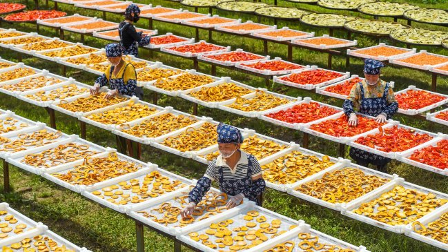 La China de Hoy: Desarrollo rural en la China contemporánea