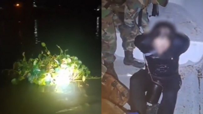 Fail: Contrabandista se disfrazó de planta acuática, pero sus movimientos lo delataron