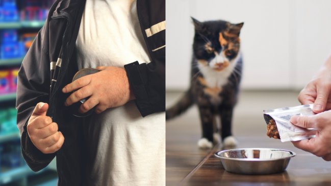 Estudio reveló los productos más robados en el retail en Chile: Desde churu hasta alargadores