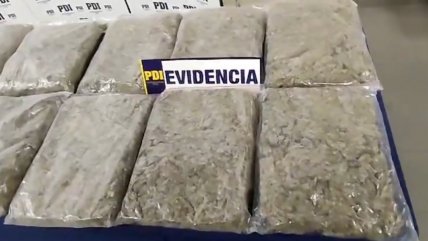 PDI detuvo a cuatro sujetos acusados de transportar 23 kilos de marihuana en Temuco