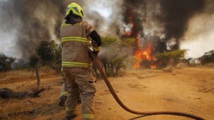   Senapred ordenó evacuar sectores de Quilpué y Santo Domingo por incendios forestales 