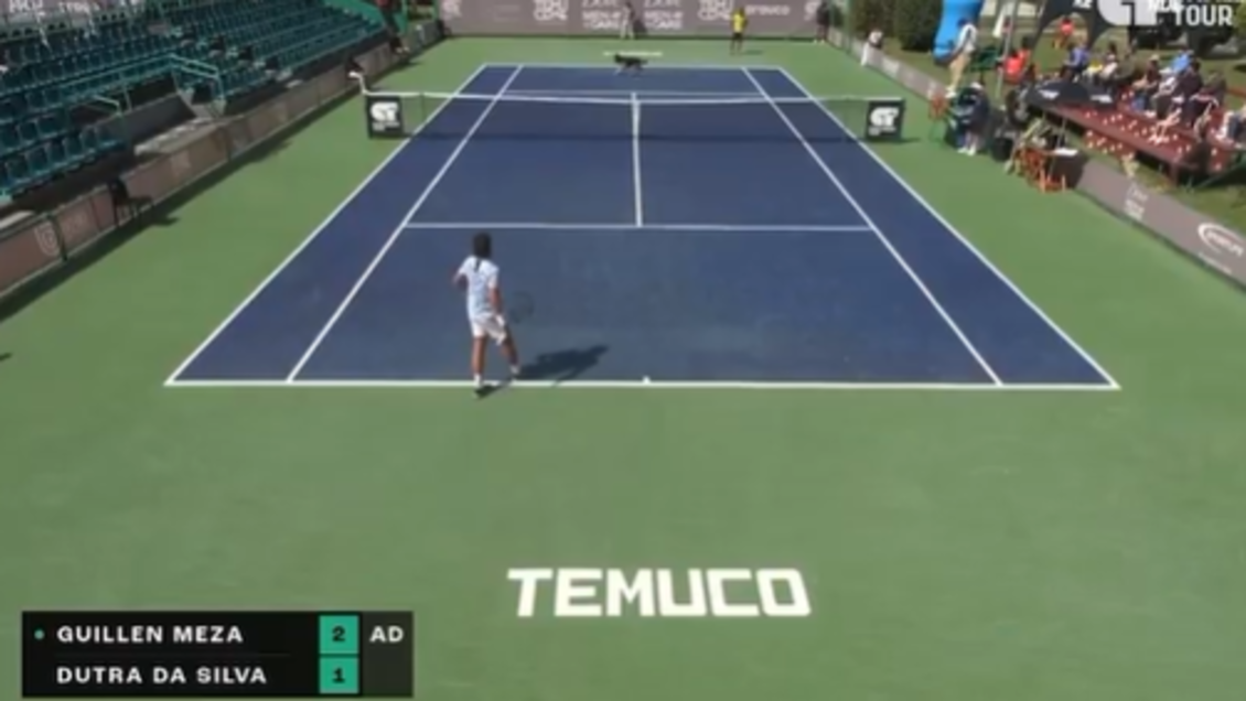 [VIDEO] Perrito interrumpió partido en el Challenger de Temuco