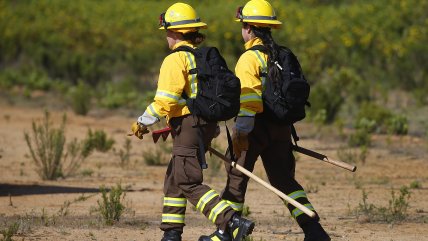   Conaf desvinculó a funcionarios detenidos: 