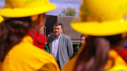   Gobierno reestructurará Conaf de Valparaíso y endurecerá sistema de selección 