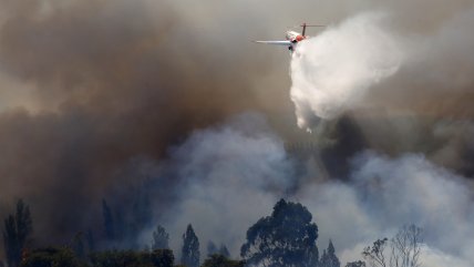   Incendio en Tiltil consume 200 hectáreas y deja al menos tres lesionados 