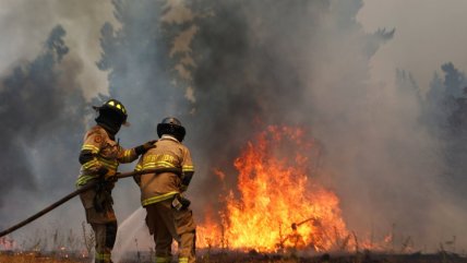   Alerta roja en Marchigüe por incendio forestal que amenaza viviendas 