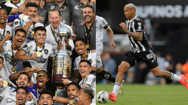 Conmebol sancionó a Botafogo y Deyverson por incidentes en partidos de la Copa Libertadores