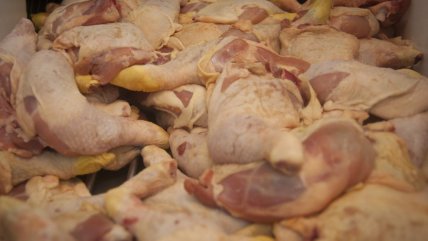  Colusión de los pollos: Supermercados SMU inician pago de compensaciones  